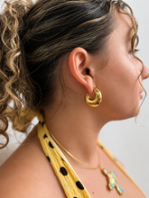Load image into Gallery viewer, Sirena Dorada Hoops